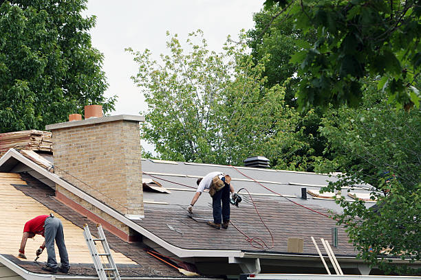 Best Metal Roofing Contractor  in Lincoln, ID